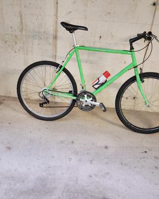 Bianchi nuova 26 uomo