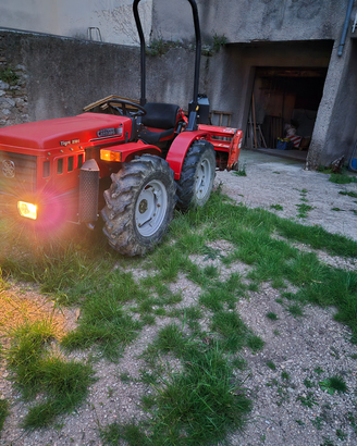 Trattore Carraro tigre 3100