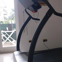 tapirulan elettrico 