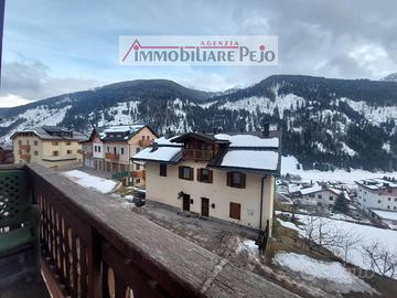 Appartamento Vermiglio [RIF.VEN. DEZUL] (Pizzano)