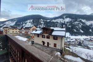 Appartamento Vermiglio [RIF.VEN. DEZUL] (Pizzano)