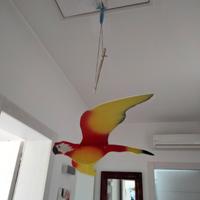 Pappagallo che si muove tirando il filo