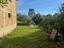 Immagine 11