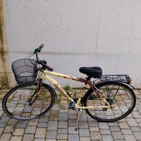 Bicicletta Lombardo Tochal 300 Running Art