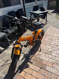 Bicicletta elettrica con pedalata assistita