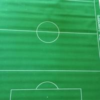Campo subbuteo,porte e palline