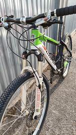 scapin murdok carbonio