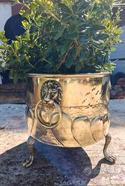 jardinière porta carbone