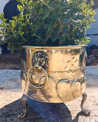 jardinière porta carbone