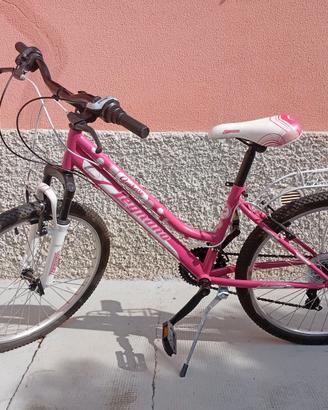 Mountain bike