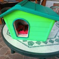 Cuccia-Casetta   cane-gatto