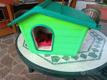 Cuccia-Casetta   cane-gatto