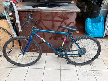 Bicicletta
