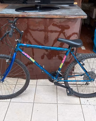 Bicicletta