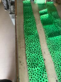 PElle di sepente Elaph