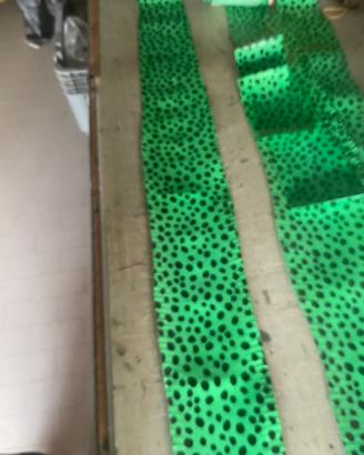 PElle di sepente Elaph