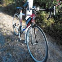 Bici CBT taglia M   Gruppo Campagnolo Veloce