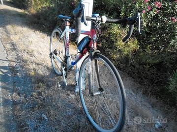Bici CBT taglia M   Gruppo Campagnolo Veloce