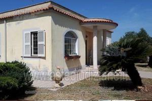 Appartamento Nettuno [A4322445]