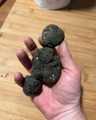 Addestramento cani da tartufo