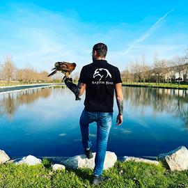 Allontanamento volatili con rapaci disinfestazione