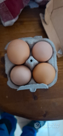 Uova di gallina