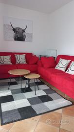 Pieve di cadore affittiamo