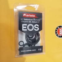 Serie paraoli  motore motom completa