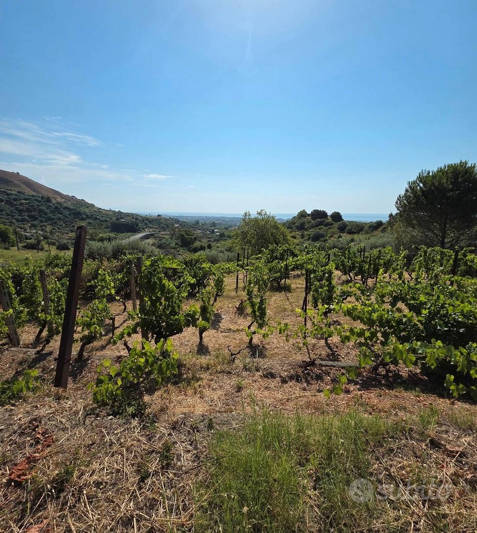 Terreno agricolo vigneto e uliveto a Calatabiano - Vista 2