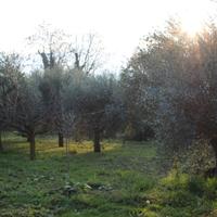 TERRENO AGRICOLO A CALUSCO D'ADDA