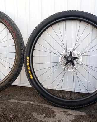 Ruote Carbon MTB  Boost