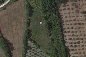 Terreno panoramico agricolo uliveto