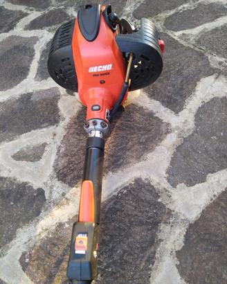 Multifunzione Echo con attacco potatore