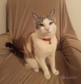 Milo