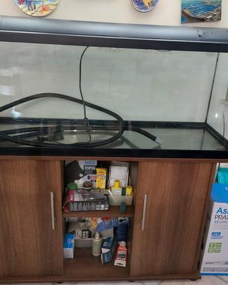 acquario