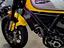 Immagine 14