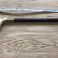 Bastone da passeggio