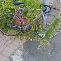 bici fissa uomo veloce e comoda