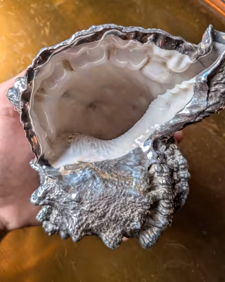 Conchiglia Buccellati Milano rivestita in Argento