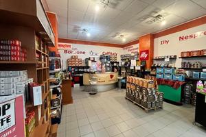 ATTIVITÀ A VOLPIANO