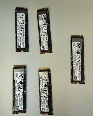 N. 5 Nvme da 256 GB