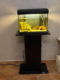 Acquario newa mirabello 30 con mobile e allestime
