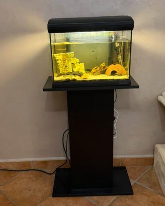 Acquario newa mirabello 30 con mobile e allestime