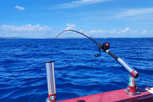 Joker boat Coaster 580