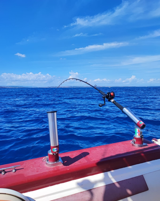 Joker boat Coaster 580