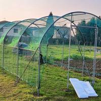 Serra agricola rinforzata - 6 x 3 m