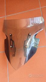 cupolino mt 09