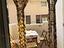 Immagine 9