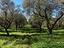 Immagine 24