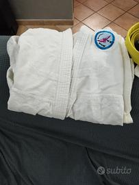 Completo judo